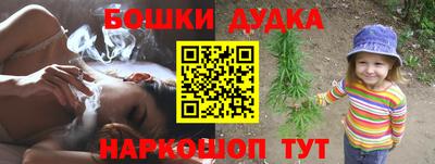 стаф Лесосибирск