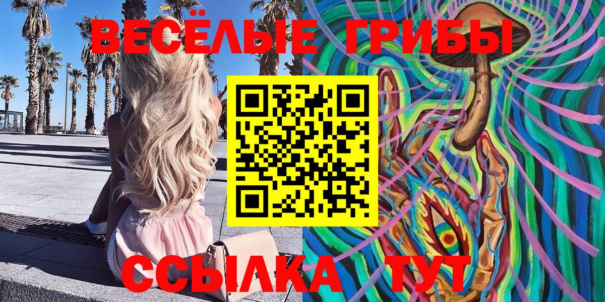 Псилоцибиновые грибы мицелий Волоколамск